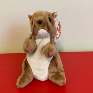 Nuts beanie baby